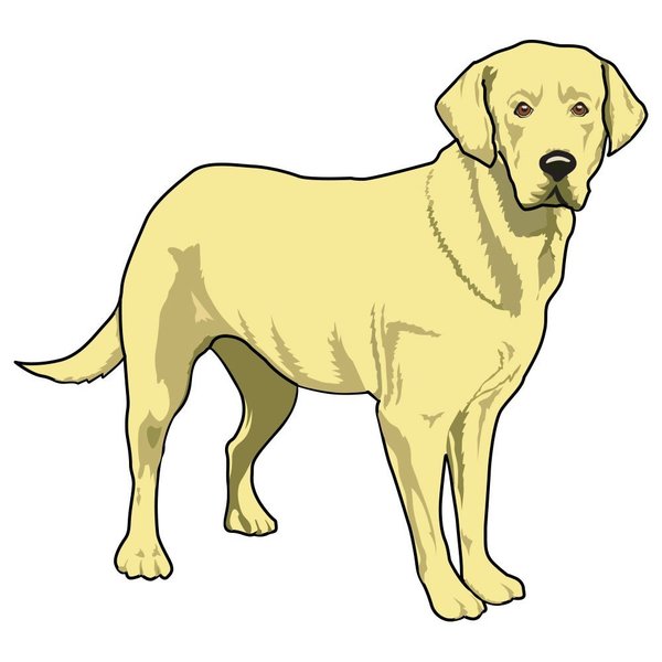 Signmission Labrador Retriever Dog Decal, Dog Lover Decor Vinyl Sticker D-12-Labrador Retriever